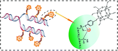 Graphical abstract: Highly selective chemosensor for repetitive detection of Fe3+ in pure water and bioimaging