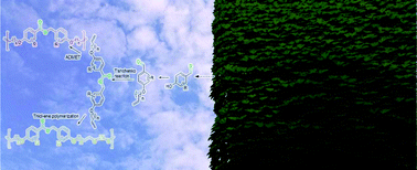 Graphical abstract: Introducing the Tishchenko reaction into sustainable polymer chemistry