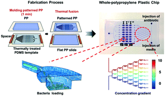 Graphical abstract: Reliable and reusable whole polypropylene plastic microfluidic devices for a rapid, low-cost antimicrobial susceptibility test