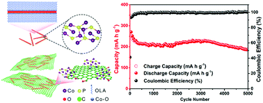 Graphical abstract: Ultrafine Co2P nanorods wrapped by graphene enable a long cycle life performance for a hybrid potassium-ion capacitor