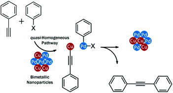 Graphical abstract: Core–shell PdCu bimetallic colloidal nanoparticles in Sonogashira cross-coupling reaction: mechanistic insights into the catalyst mode of action