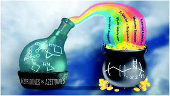 Graphical abstract: Aziridines and azetidines: building blocks for polyamines by anionic and cationic ring-opening polymerization