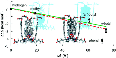 Graphical abstract: Quantification of the hydrophobic effect using water-soluble super aryl-extended calix[4]pyrroles