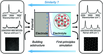 Graphical abstract: Toward a quantitative theoretical method for infrared and Raman spectroscopic studies on single-crystal electrode/liquid interfaces