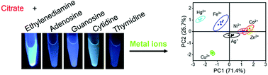 Graphical abstract: Nucleoside-based fluorescent carbon dots for discrimination of metal ions