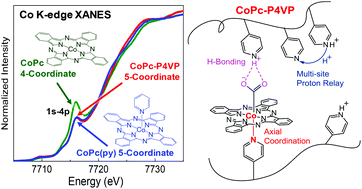 Graphical abstract: Determining the coordination environment and electronic structure of polymer-encapsulated cobalt phthalocyanine under electrocatalytic CO2 reduction conditions using in situ X-Ray absorption spectroscopy