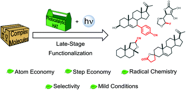 Graphical abstract: Photocatalytic hydrogen atom transfer: the philosopher's stone for late-stage functionalization?