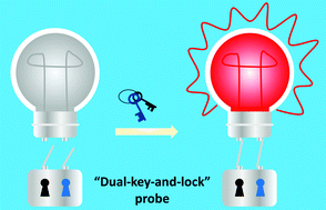 Graphical abstract: Development of “dual-key-and-lock” responsive probes for biosensing and imaging