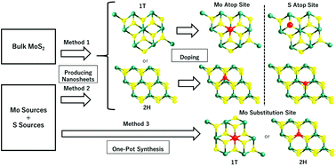 Graphical abstract: 2D molybdenum disulphide nanosheets incorporated with single heteroatoms for the electrochemical hydrogen evolution reaction