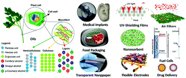 Graphical abstract: Plant celluloses, hemicelluloses, lignins, and volatile oils for the synthesis of nanoparticles and nanostructured materials