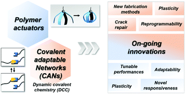 Graphical abstract: Polymer actuators based on covalent adaptable networks