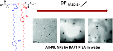 Graphical abstract: All poly(ionic liquid) block copolymer nanoparticles from antagonistic isomeric macromolecular blocks via aqueous RAFT polymerization-induced self-assembly