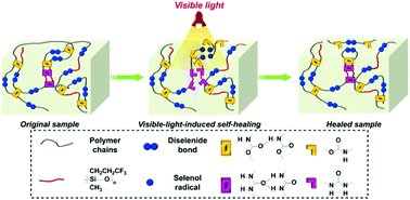 Graphical abstract: Mechanically robust and tough waterborne polyurethane films based on diselenide bonds and dual H-bonding interactions with fast visible-light-triggered room-temperature self-healability