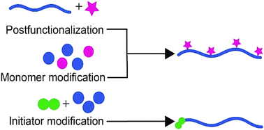 Graphical abstract: Semiflexible polymer scaffolds: an overview of conjugation strategies