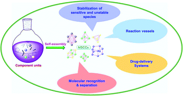 Graphical abstract: Cavity-based applications of metallo-supramolecular coordination cages (MSCCs)