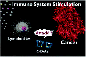 Graphical abstract: From cow manure to bioactive carbon dots: a light-up probe for bioimaging investigations, glucose detection and potential immunotherapy agent for melanoma skin cancer