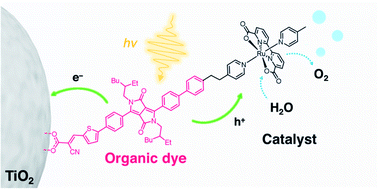 Graphical abstract: A diketopyrrolopyrrole dye-based dyad on a porous TiO2 photoanode for solar-driven water oxidation