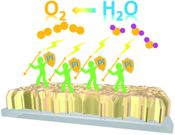 Graphical abstract: Boosting the stability and photoelectrochemical activity of a BiVO4 photoanode through a bifunctional polymer coating