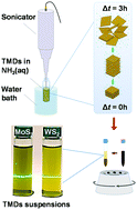 Graphical abstract: Liquid phase exfoliation of MoS2 and WS2 in aqueous ammonia and their application in highly efficient organic solar cells