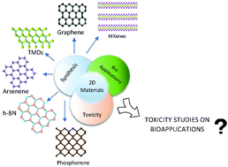 Graphical abstract: Harnessing biological applications of quantum materials: opportunities and precautions