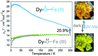 Graphical abstract: Photoinduced magnetic phase transition and remarkable enhancement of magnetization for a photochromic single-molecule magnet