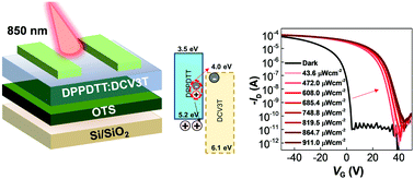 Graphical abstract: High performance near-infrared phototransistors via enhanced electron trapping effect