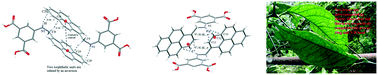 Graphical abstract: 5-[(Pyren-9-ylmethyl)amino]isophthalic acid with nitrogen containing heterocycles: stacking, N–H⋯π interactions and photoluminescence