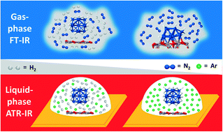 Graphical abstract: Gas phase vs. liquid phase: monitoring H2 and CO adsorption phenomena on Pt/Al2O3 by IR spectroscopy