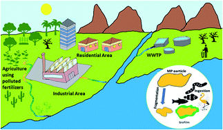 Graphical abstract: Emerging investigator series: microplastic sources, fate, toxicity, detection, and interactions with micropollutants in aquatic ecosystems – a review of reviews