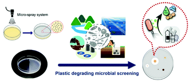 Graphical abstract: A micro-spray-based high-throughput screening system for bioplastic-degrading microorganisms