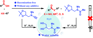 Graphical abstract: Water-removable ynamide coupling reagent for racemization-free syntheses of peptides, amides, and esters