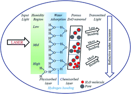 Graphical abstract: Facile synthesized zinc oxide nanorod film humidity sensor based on variation in optical transmissivity