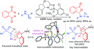 Graphical abstract: Enantioselective modification of sulfonamides and sulfonamide-containing drugs via carbene organic catalysis