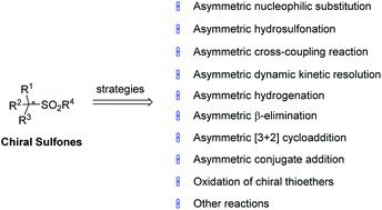 Graphical abstract: Recent advances for the synthesis of chiral sulfones with the sulfone moiety directly connected to the chiral center