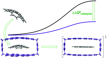 Graphical abstract: Perylene bisimide cyclophanes as receptors for planar transition structures – catalysis of stereoinversions by shape-complementarity and noncovalent π–π interactions