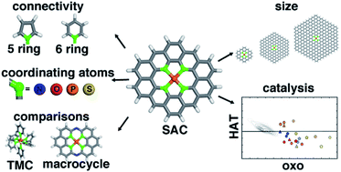 Graphical abstract: Modeling the roles of rigidity and dopants in single-atom methane-to-methanol catalysts