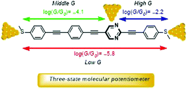 Graphical abstract: Three-state molecular potentiometer based on a non-symmetrically positioned in-backbone linker