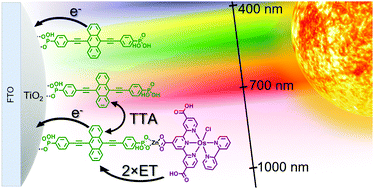 Graphical abstract: Harnessing near-infrared light via S0 to T1 sensitizer excitation in a molecular photon upconversion solar cell