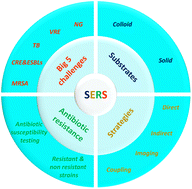 Graphical abstract: Recent advances in antibiotic resistance diagnosis using SERS: focus on the “Big 5” challenges