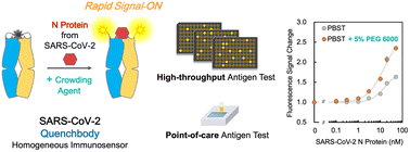 Graphical abstract: Rapid and sensitive SARS-CoV-2 detection using a homogeneous fluorescent immunosensor Quenchbody with crowding agents