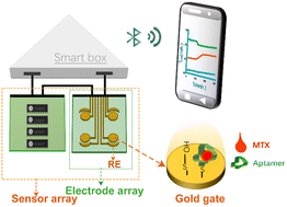 Graphical abstract: Aptamer-engineered extended-gate field-effect transistor device for point-of-care therapeutic drug monitoring