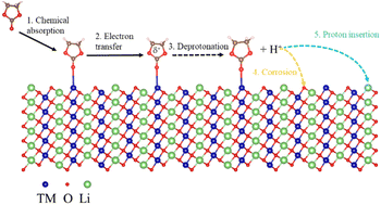 Graphical abstract: Chasing protons in lithium-ion batteries