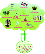 Graphical abstract: Current understanding and insights towards protein stabilization and activation in deep eutectic solvents as sustainable solvent media