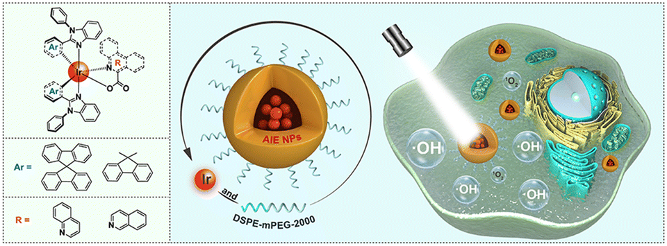 Graphical abstract: AIE-active Ir(iii) complexes as type-I dominant photosensitizers for efficient photodynamic therapy