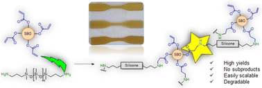 Graphical abstract: Acrylated soybean oil: a key intermediate for more sustainable elastomeric materials from silicones