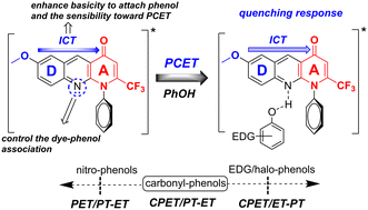 Graphical abstract: A photobasic D–A fluorophore with a high intramolecular charge-transfer as a model strategy for designing organic proton-coupled electron-transfer modulators: an analysis based on steady-state fluorescence, isotopic effect and theoretical study