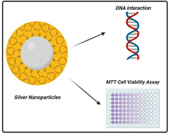 Graphical abstract: Synthesis of silver nanoparticles coupled with aromatic diselenides: greener approach, potential against glioma cells and DNA interaction