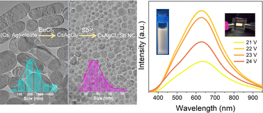 Graphical abstract: Colloidal synthesis of size-confined CsAgCl2 nanocrystals: implications for electroluminescence applications