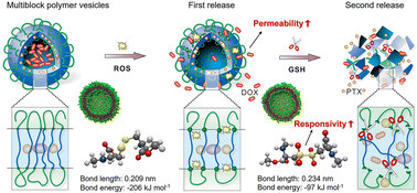 Graphical abstract: Redox-dual-sensitive multiblock copolymer vesicles with disulfide-enabled sequential drug delivery