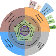 Graphical abstract: Black phosphorus-based nanohybrids for energy storage, catalysis, sensors, electronic/photonic devices, and tribological applications